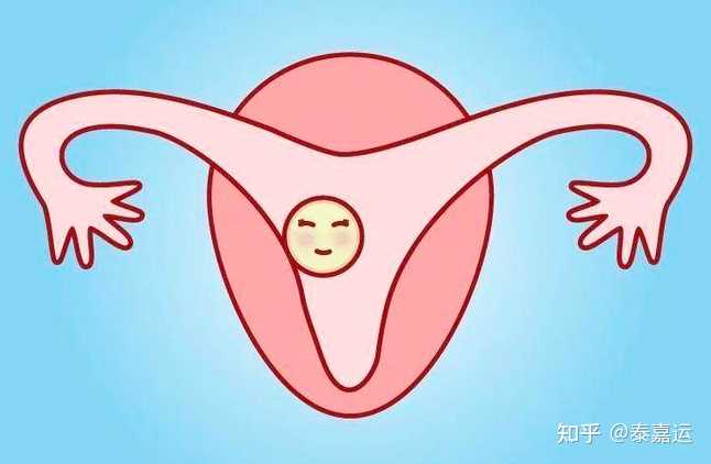 三代试管知识科普：多囊卵巢综合征也可能是假的-代孕供卵生子